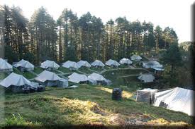 Camp Carnival